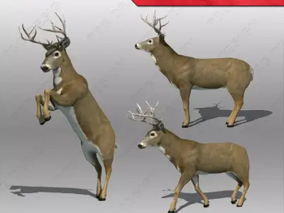 Deer Animated Low-poly 3D model