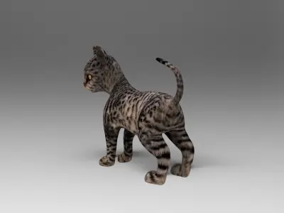 Black Cat Rigged Low-poly 3D model