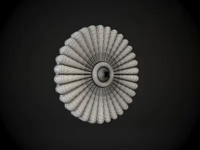 Rosette flower 3D model
