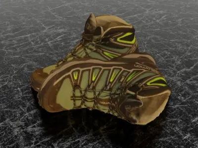 SALOMON X ULTRA 3D SHOES Low-poly 3D model