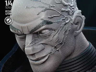 STAR WARS Wrecker Bust Tested for 3D Printing 3D print model