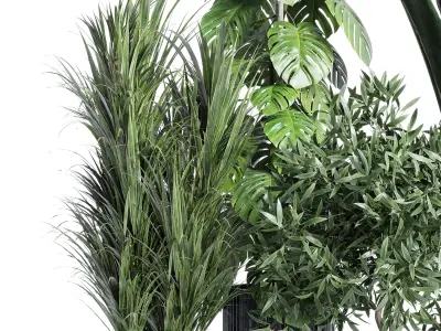 indoor plant ficus rubbery monstera palm binnendijkii concrete 3D model