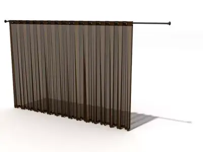 Brown Sheer Curtains 3D model