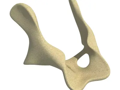 Anatomic Animal Pelvis 3D model