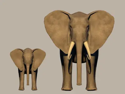 Elephant and baby Elefant und baby 3D model