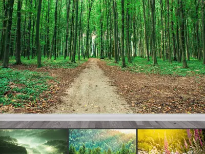 Photo Wallpaper No 6 Low-poly 3D model