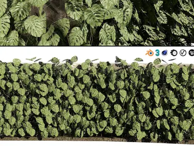 Indoor Swiss Cheese Plant Greenwall 3D Model Low-poly 3D model
