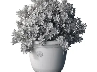 Decorative Magnolia tree garden pot decoration classic style 3D model