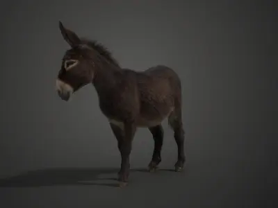 Donkey Winter with 2 Animations  VFX Grace 3D model