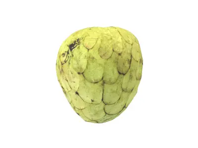 Photorealistic Cherimoya 3D Scan 6 3D model
