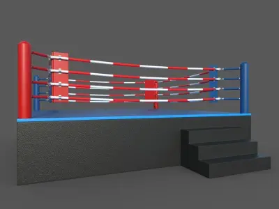 Box Ring 3D model