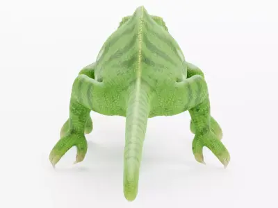 -Flap Necked Chameleon - Chamaeleo Dilepis- 3D model