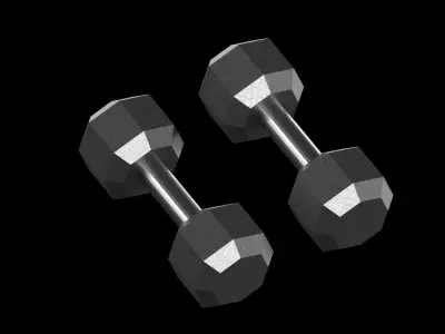 Dumbbells two 3D model purchase