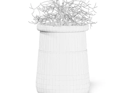 Plant 3D Model in Large Modern Pot 3D model
