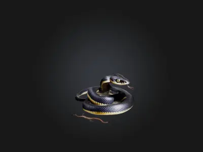 Snake Low-poly 3D model purchase