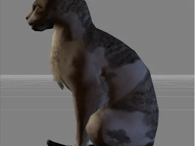 Cat animal Low-poly 3D model