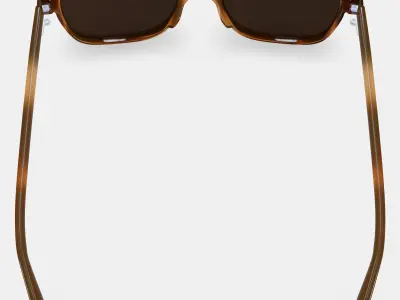 Brimmer Sunglasses in Black Walnut 3D model