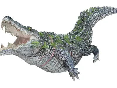 Animated Injured Crocodie Rigged Low-poly 3D model