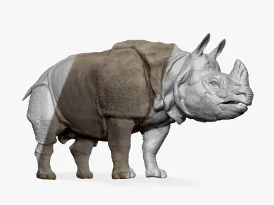 Indian Rhinoceros - Sculpt 3D model