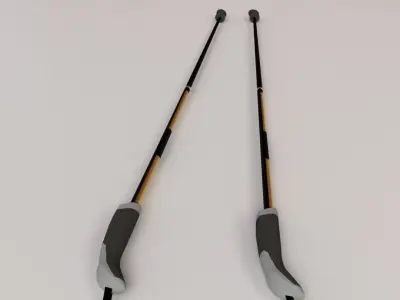 Walking Pole 3D model