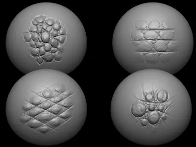 Zbrush - 15 Crocodile Scales and Hide VDM Brushes 3D model