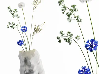 decorative set 08 3D model get