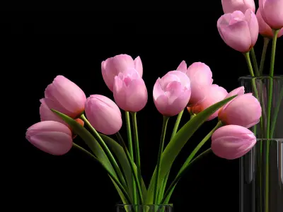 pink tulip set 5 3D model