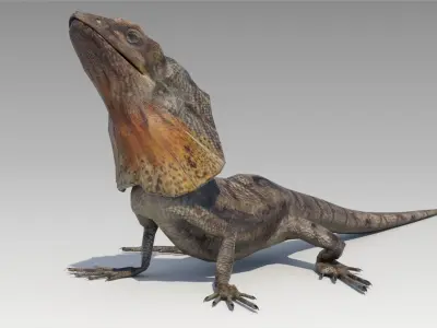 Frill-Necked Lizard Low-poly 3D model
