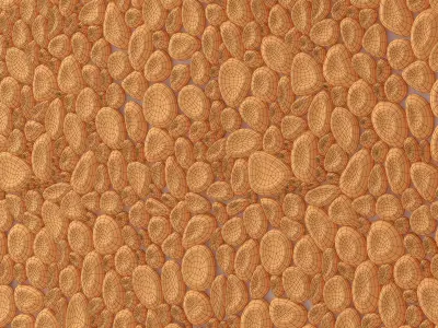 Stone pebble  concave decorative 3D model