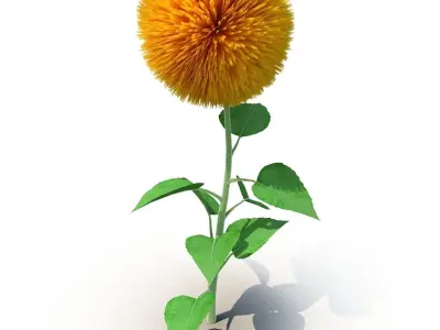 Sunflower 3D model