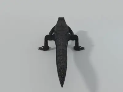 Komodo Dragon Low-poly 3D model