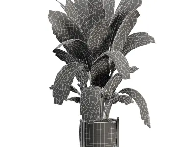 Indoor Plants 02 3D model
