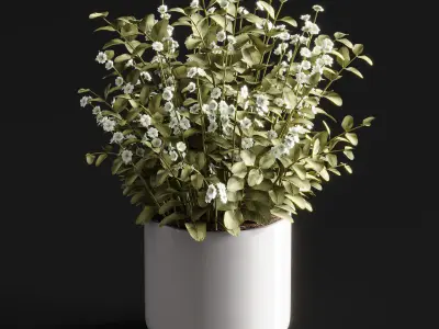 Bouquet01 3D model
