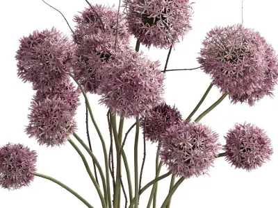 Flower In Vase 84 3D model