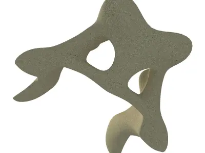 Anatomic Animal Pelvis 3D model