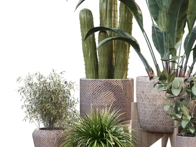 plant in vase collection set 212 3D model