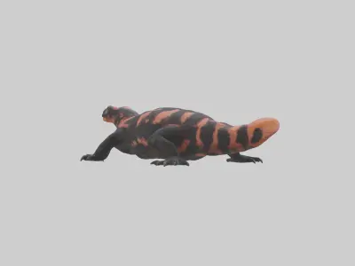 Gila Monster sunning model Low-poly 3D model