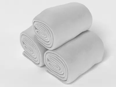 Towel Rolls 3D model