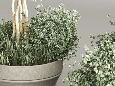 indoor plant stand 55 3D model