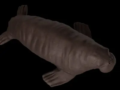 Walrus Low-poly 3D model