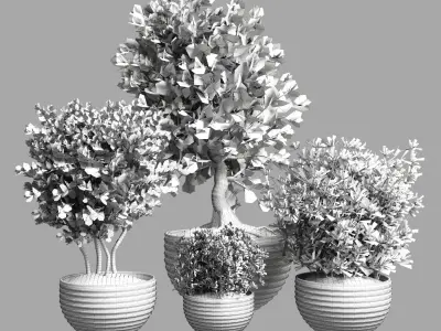 collection outdoor plant 20 -concrete old vase Low-poly 3D model