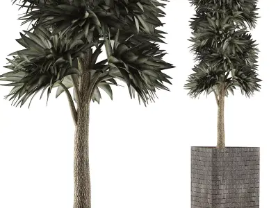 Plants Collection 113 3D model