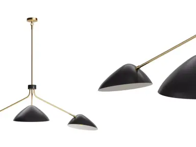 Bowed Chandelier 3D model