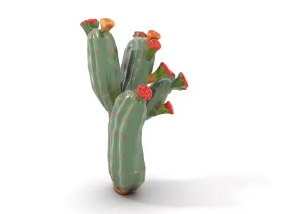 Cactus Blossom model pack Low-poly 3D model