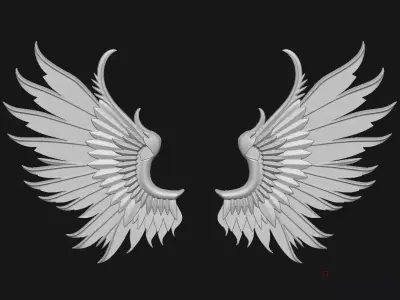 Wings 3D print model