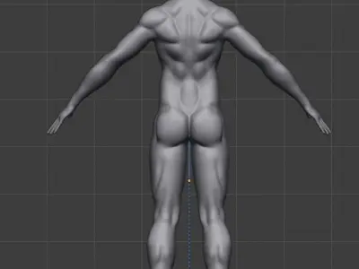full man muscles  3D model