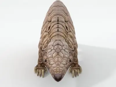 Pangolin Low-poly 3D model