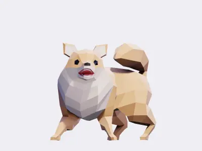 Pomeranian Dogs Low-poly 3D model