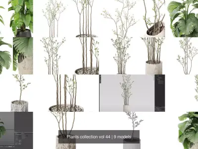 Plants collection vol 44