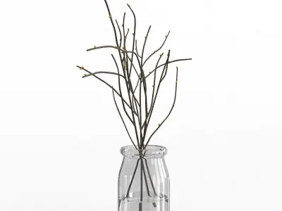 Branches in Glass Vase 3D model